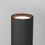 Настенный светильник Langer черный 40123/LED Elektrostandard (220V, круглые, IP44)