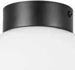 Потолочный светильник круглый Lightstar Globo 812117 (220V, шар)