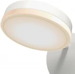 Бра Maytoni Fad MOD070WL-L8W3K (LED, 220V, диммер, выключатель)