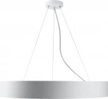 Подвесной светильник светодиодный ЭРА SPO-133-W-40K-045 (220V, на тросе, кольцо, IP40)