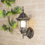 Настенный фонарь уличный Elektrostandard Feliz GL 1002U черное золото