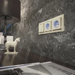 Розетка с подсветкой (слоновая кость) Werkel W1171403 (a054522)