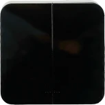 Выключатель двухклавишный с подсветкой (черный) Stekker София 49294