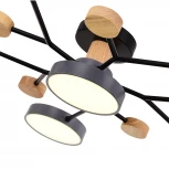 Потолочная люстра на штанге Evoluce Faema SLE6006-702-06