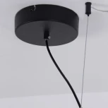 Подвесной светильник Favourite Tornado 4569-2P (LED, 220V, на тросе, кольцо)