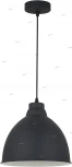 Подвесной светильник Arte Lamp Braccio A2055SP-1BK (220V, на проводе, круглые)