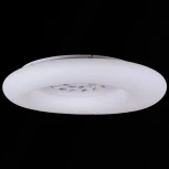 Потолочный светильник круглый светодиодный с пультом Reluce 09048-0.3-115W WT (регулировка яркости, 220V, круглые)
