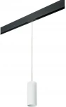 Трековый светильник однофазный 220V Lightstar Rullo PRORP486 (круглые)