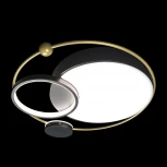 Настенно-потолочный светильник Loft IT Mike 10064 (LED, 220V, круглые)