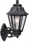 Настенный фонарь уличный Fumagalli Anna E22.131.000.AXF1R (220V, IP44)