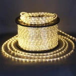 Дюралайт светодиодный Sneha 13-2W-100M-220V-LED-U WW/W FLASH