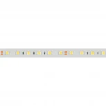 Светодиодная лента герметичная RTW-PFS-B60-13mm 24V Day5000 (14.4 W/m, IP68, 5060, 5m) (Arlight, 14.4 Вт/м, IP68) 036462