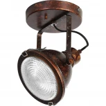 Спот Favourite Industria 1898-1W