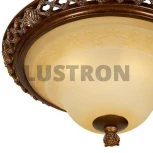 Потолочный светильник круглый Wertmark Adora WE342.03.627 (220V)