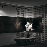 Трековый светильник Orlo Unity 4000K 5Вт 120° LED (однофазный) Maytoni Technical TR085-1-5W4K-B (220V, круглые)