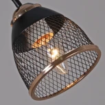 Потолочная люстра на штанге Reluce 01505-0.3-03 BK+FGD (220V)