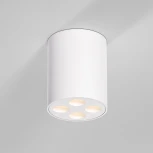 Светильник потолочный светодиодный Elektrostandard Points 25111/LED белый (220V, круглые)