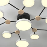 Потолочная люстра с пультом на штанге LED Lu Carte LC-11-1716