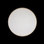 Потолочный светильник круглый Loft IT Axel 10002/24 Yellow (LED, 220V, круглые)