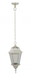 Уличный светильник подвесной Oasis Light ASTORIA 2 91405L cover Gw (220V, на цепи, IP44)