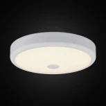 Настенно-потолочный светильник Citilux Фостер-1 CL706130