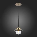 Подвесной светильник Evoluce Garonni SLE110103-01