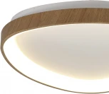 Потолочный светильник Mantra Niseko 8632 (регулировка яркости, LED, 220V, пульт управления)