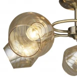 Потолочная люстра Wedo Light Valya 66437.01.05.05