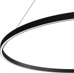 Подвесной светильник Maytoni Rim MOD058PL-L65BK (LED, 220V, на тросе, кольцо)