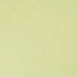 Рулонные обои BN International BN 48445