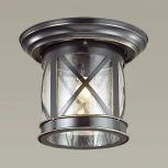 Потолочный светильник уличный Odeon Light Sation 4045/1C (220V, IP44)