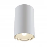 Накладной точечный светильник Maytoni Sonas C033WL-01W