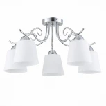 Потолочная люстра Evoluce Liada SLE103902-05