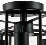 Потолочная люстра Lightstar Genni 798237 (220V, круглые)