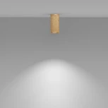 Накладной потолочный светильник Focus Design GU10 1x50Вт Maytoni Technical C036CL-01G (220V, круглые)