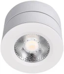 Точечный накладной светильник Lucia Tucci Benassi LTP-C003-12W-W