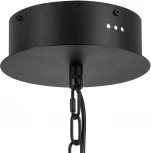 Подвесная люстра Lightstar Iris 734247 (LED, 220V, на цепи)