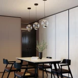 Подвесной светильник Eurosvet Frasco 50267/1 LED черный (220V, на проводе)