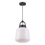 Уличный светильник подвесной Novotech Conte 370601 (220V, на проводе, IP44)
