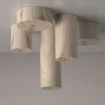 Потолочный светильник круглый DeMarkt Иланг 712010901 (LED, 220V)