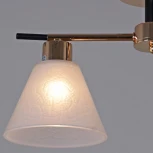 Потолочная люстра на штанге Reluce 09112-3.3-02 FG+BK