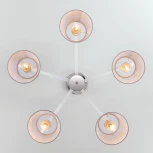 Потолочная люстра Eurosvet Alicante 60082/5 хром