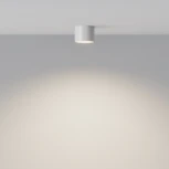 Потолочный светильник Maytoni Glam C096L-GX53-WBS