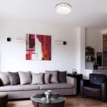 Настенно-потолочный светильник Sonex Flim 2046/DL