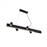 Подвесной линейный светильник Vele Luce Chela VL10142P24