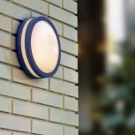 Настенный светильник уличный Oasis Light 3362