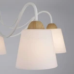 Потолочная люстра Eurosvet Betty 70062/5 белый (220V)