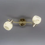 Спот на штанге Citilux Соната CL520523 (220V, цветы, круглые)