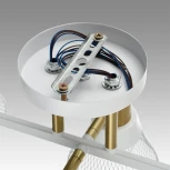 Потолочная люстра на штанге Lumion Anriya 8045/6C белый, латунь/белый металл/металл Е14 6*40W 220V