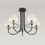 Потолочная люстра Lumion Ilona 3708/5C